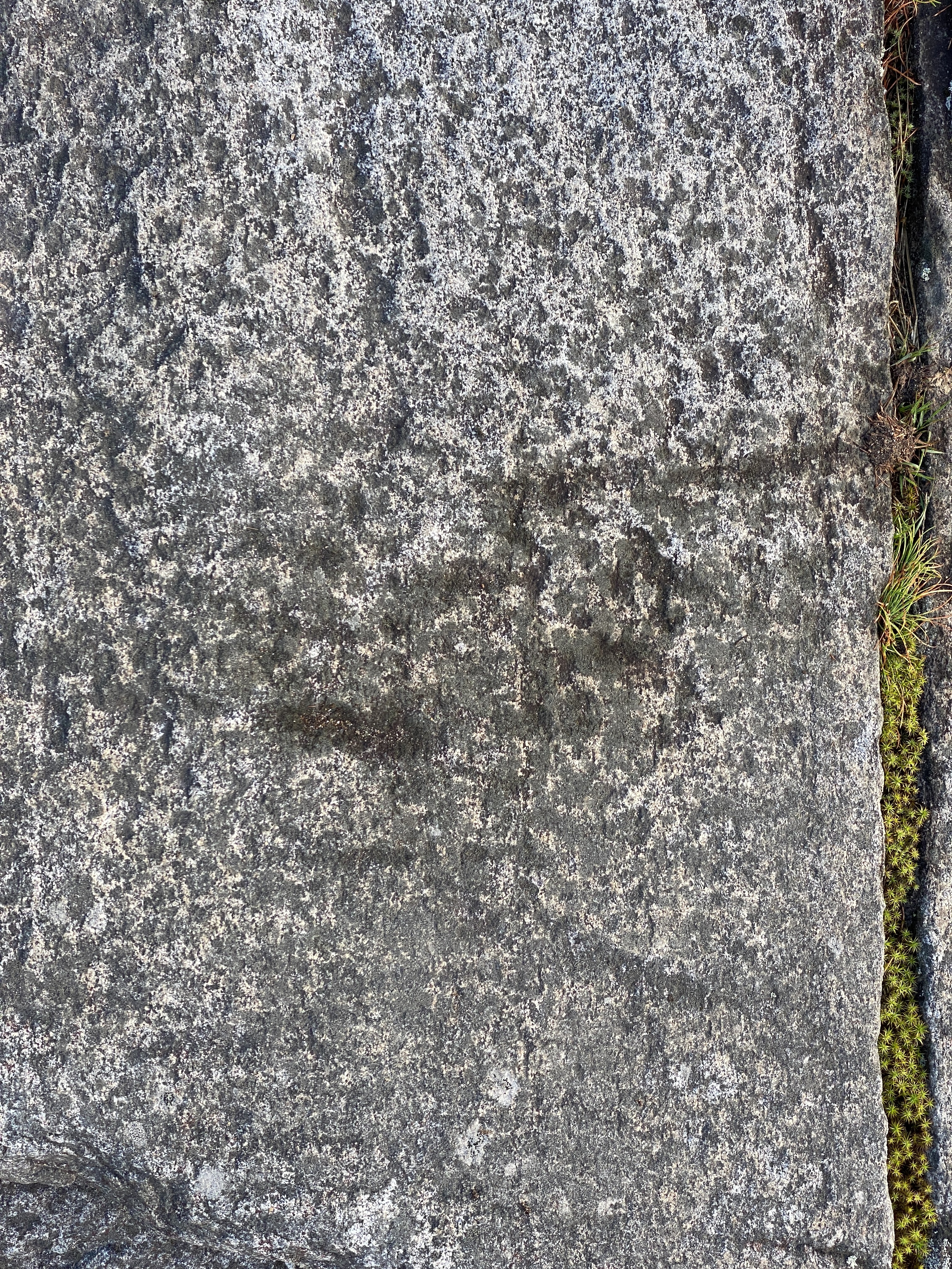 2021 08 01 19.04.32